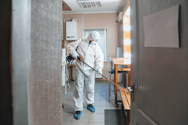 Best Crawl Space Mold Remediation  in Corning, CA