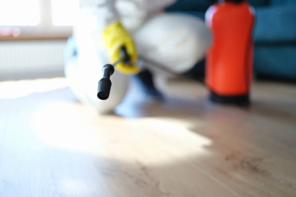 Trusted Corning, CA Mold Removal Experts