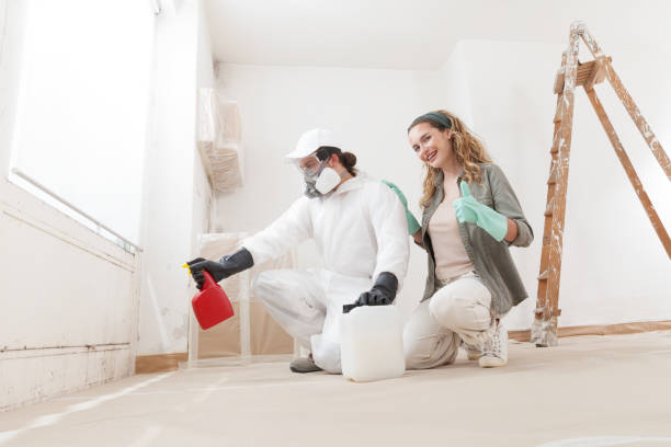 Best Industrial Mold Remediation  in Corning, CA